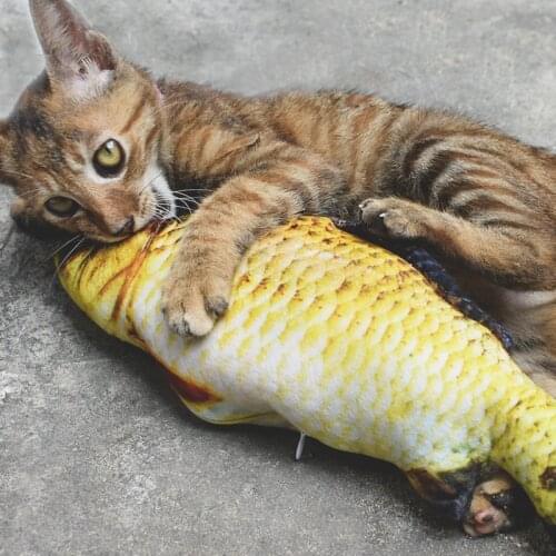 Pet Soft Plush 3D Fish Shape Cat Toy Gifts Fish Catnip Toys Stuffed Pillow Doll Simulation Fish Playing Toy For chew toys Pet