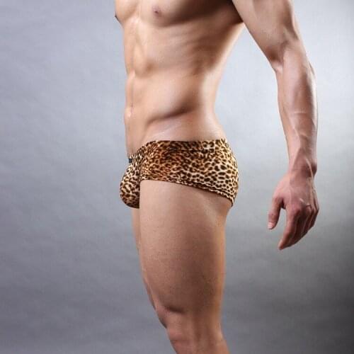 Sexy Men Underwear Boxers Shorts Leopard Panties Man Breathable Low Waist U Convex Pouch Underpants Cueca calzoncillos M-XL