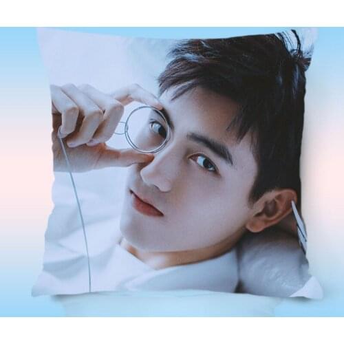 Chen Feiyu Pillowcase Pretty Scholar Same Paragraph Star Photo Poster Cushion Cover Surrounding Souvenir Pillow Covers Decor