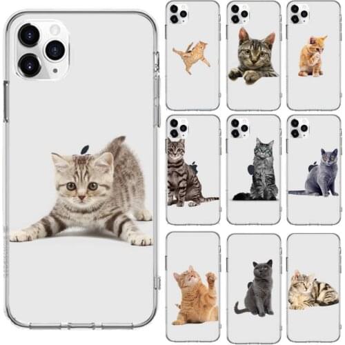 Cute lovely funny cat Phone Case Transparent for iPhone 6 7 8 11 12 s mini pro X XS XR MAX Plus cover funda shell