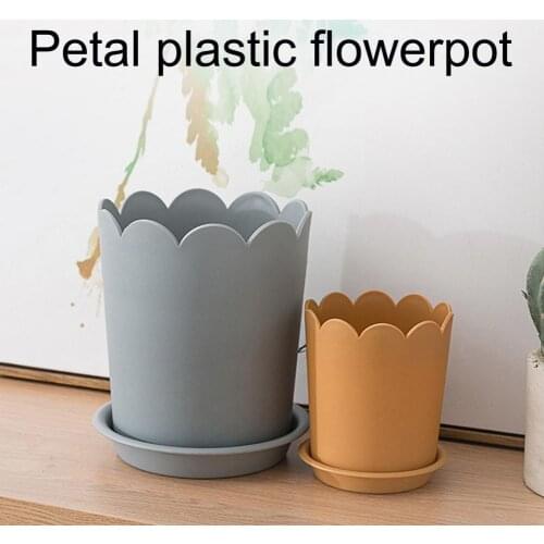 Bright-colored Long Lasting Petal Edge Large Opening Flower Planter for Balcony