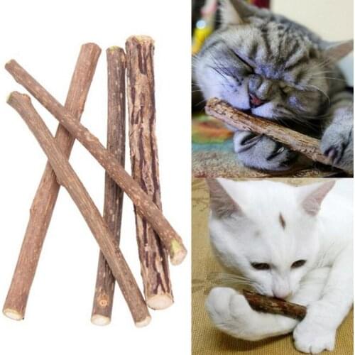5pcs /set Cat Cleaning Teeth Natural Catnip Pet Cat Molar Toothpaste Stick Matatabi Actinidia Fruit Silvervine Cat Snacks Sticks