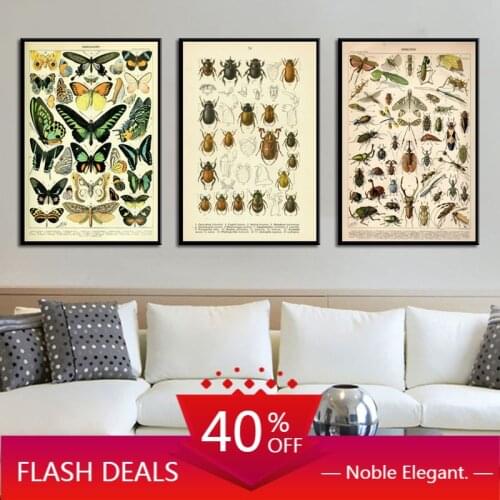 Canvas Painting Antique Beetle Vintage Variety Of Insects Science Chart Beetle Bee Art Poster Wall Home Decor Picture Decoration