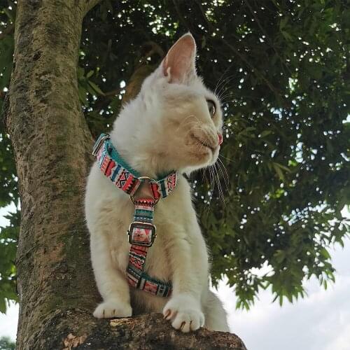 Adjustable Pet Dog Chest Strap Dog Cat Puppy National Style Harness For Small Medium Large Dogs Cats Chihuahua Pug Harness