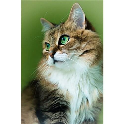 LaoJieYuan Full Round Square Diamond Painting Animals Cat Cross Stitch Kit Diamond Embroidery DIY Diamond Mosaic Crafts gift