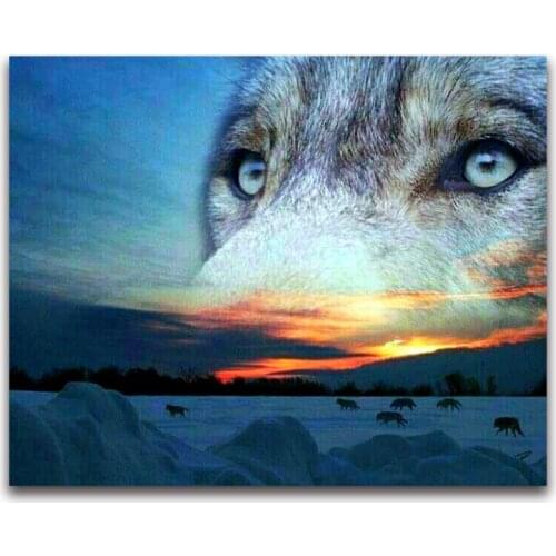 Full square/round Diamond painting Cross stitch snow Wolf face Diamond mosaic Sunset scenery DIY Diamond embroidery winter E1594