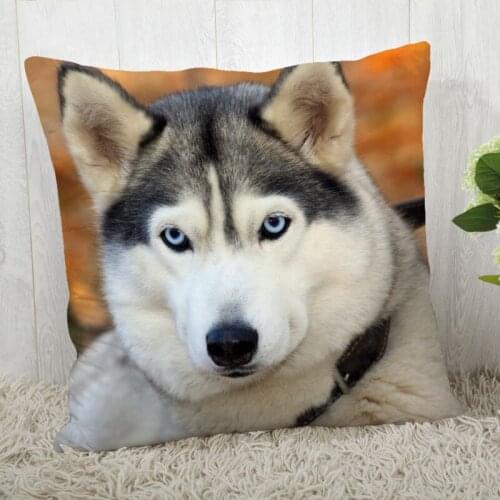 Siberian Husky Pillow Cover Customize Pillowcase Modern Home Decorative Pillow Case For Living Room 45X45cm,40X40cm A2020.4.29