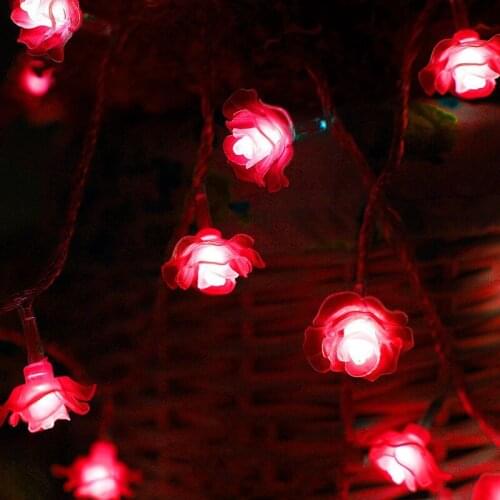 Twikey LED String Lights