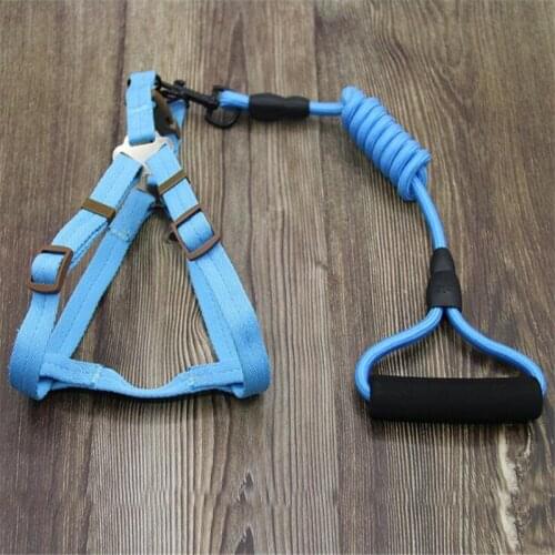 Dog leash Nylon Pet Leash for dog & cat Running or Training Collar and Harness