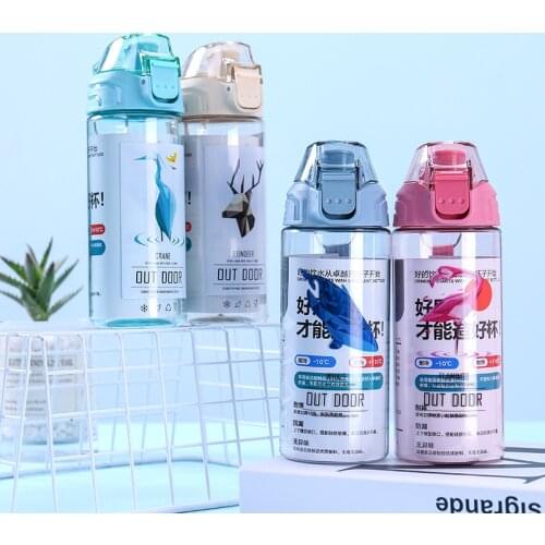 500ml Water Bottle Portable My Bottles for Women Girl Outdoor Flamingo Fashion Leak Proof Cartoon H1179