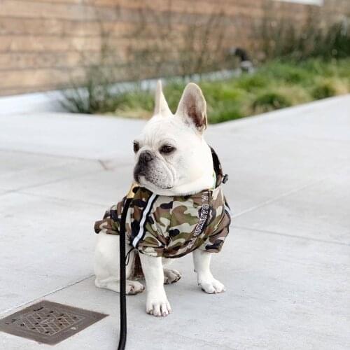 Chihuahua Camouflage Raincoat Pet Dog Clothes for Small Dogs Clothing French Bulldog Jacket Pug Costume Dropshipping PC1365