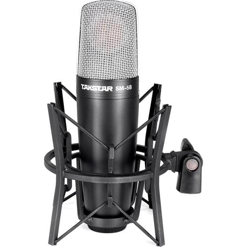 Takstar SM-5B-L narration-style professional recording condenser microphone suit for Studio recording with aluminum suitcase