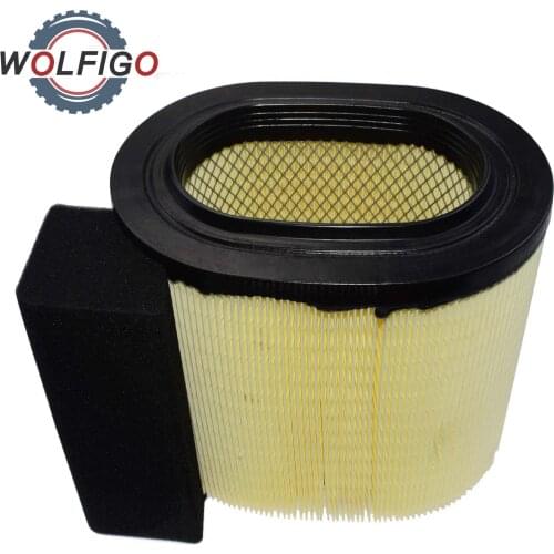 WOLFIGO Air Filters For Cars