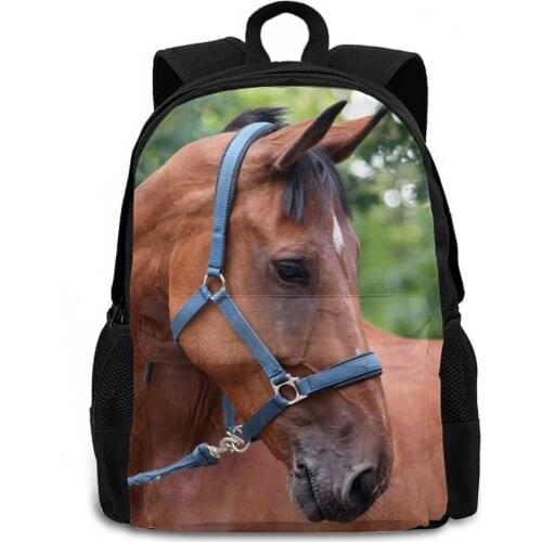 3D Horse Face Head Mens Large Backpacks for 15.6in Laptop Animal Prints Children School Book Bags Travelling Daypacks Rucksack