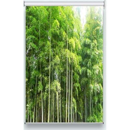 Modern living room shade cloth bamboo forest photo print curtains for the living room bedroom customize 3D Roller Blinds
