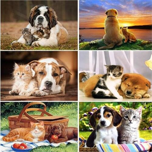 DIY 5D Diamond Painting Farm Animal Cat Diamond Embroidery Mosaic Rhinestone Full Round Drill Cross Stitch Kits Decor Home