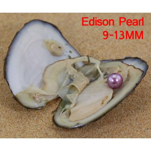 Grade AAAA Quality Edison Freshwater Oysters 9-13MM Big Pearl Oyster Real Edison Pearl in Freshwater Shells FP010