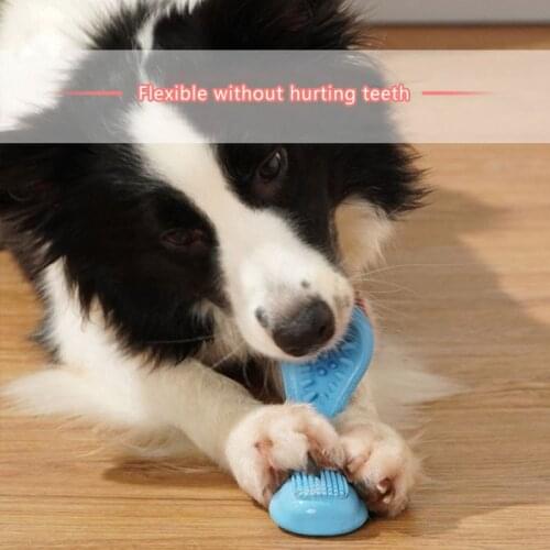 Dog Toy Natural Rubber Chew Toy Nibble Teeth Cleaning Training Plaything Interactive Toy for Pet Puppy Dogs Pet Playing Products