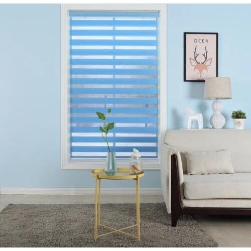 Day Night Blinds Zebra Double Roller Shades Light Filtering Dual Layer Window Blind Shade Treatment for Living Room/Bedroom