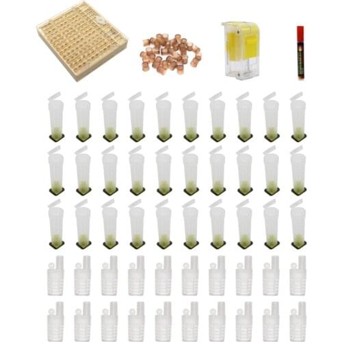 Beekeeper Tool Set Cell Cups Queen Rearing System Queen Bee Marker Beekeeping Equipment Bee Keeping