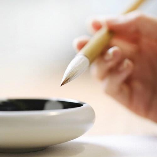 Chinese Painting Writing Brush Set Beginner Medium Regular Script Multiple Hair Calligraphy Handwriting Practice Craft Supply