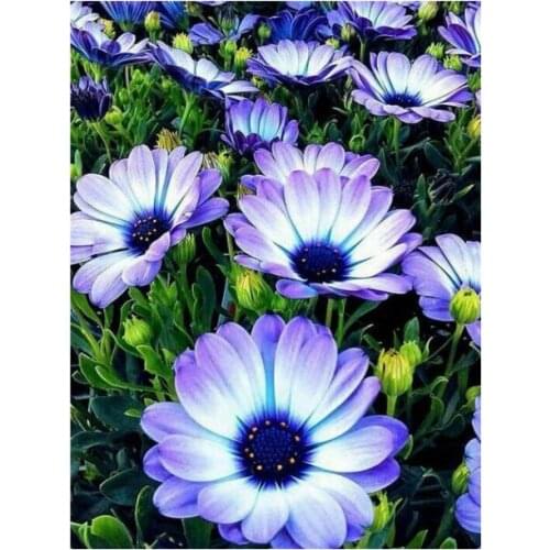 5d diy daisy diamond mosaic embroidery flowers puzzle painting by numbers rhinestone wall sticker daimond drawing art needlework