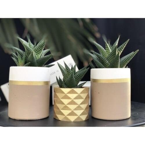 Bigcraft Products For Modeling