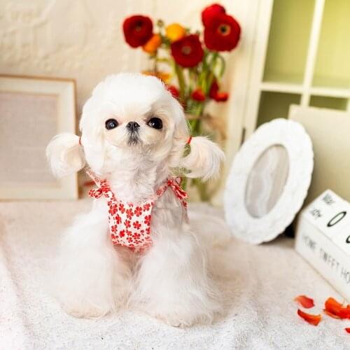 Dog Spring Summer Floral Maltese Clothes Teddy Bear Chihuahua Dress Cat Puppy Small Dog Clothes Skirt Miniature Pinscher Pet