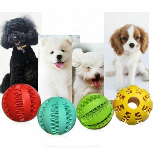 Pet Feeding Toy Ball Rubber ball Caucasian holder Pet dog Puppy cat Toys Training Dental Dog Toys