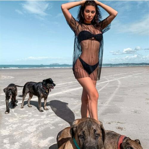 Women Summer Beach Sexy Mesh Sheer Bikini Cover Up Short Sleeve Striped Dress Swimwear Swimsuit Bathing Beachwear Dresses