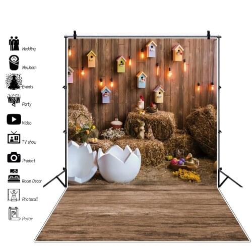 Laeacco Vinyl Wood Background For Photography Easter Eggs Haystack Chick Baby Newborn Floor Interior Photo Backdrop Photo Studio
