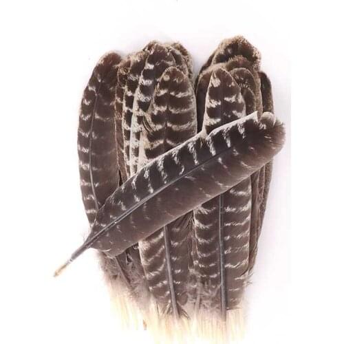 Beautiful 100pcs/lot Turkey Feathers 23-28cm/9-11inches Wedding Party for Celebration DIY Decoration Feathers for Crafts
