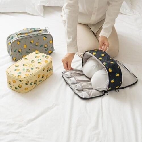 Brassiere Fabric Storage Bag Bra Underpant Briefs Pocket Organizer For Underwear Socks Organizador De Sapato