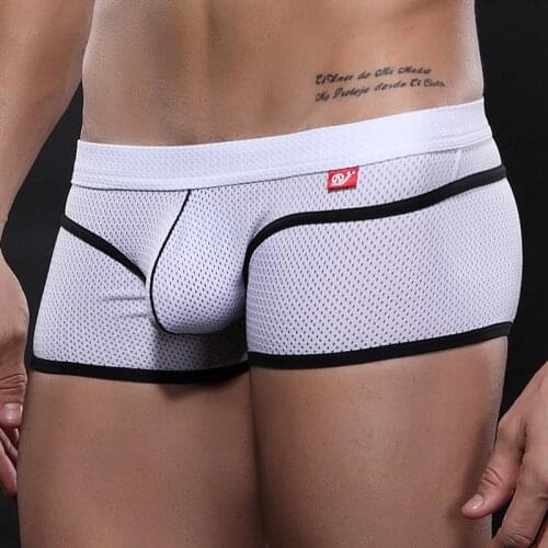New Sexy Men Underwear Boxer Breathable Mesh Boxershorts Men Male Underpants Cueca Gay Penis Pouch Panties Mens Trunks