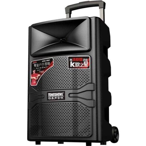 12 Inch Bluetooth Outdoor Speaker Bass & Treble Echo Big Speaker with Wheels Stereo Music Subwoofer Portable Louderspeaker