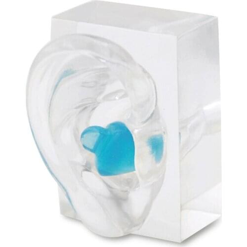 Clear Acrylic Ear Model Demo Models for Hearing Aid Dispensers and Clinic Demonstration Display