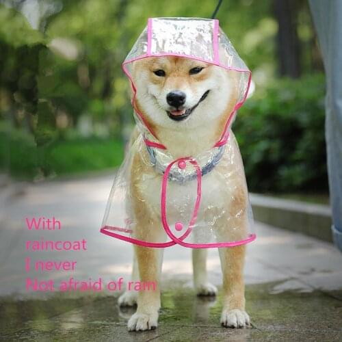 New waterproof dog raincoat with hood transparent pet cat puppy raincoat pet clothes small, medium and large dog pet supplies ra