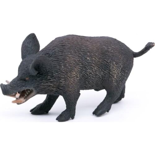 CollectA Wild Life Animals Wild Boar PVC Plastic Figure Children Toys Model #88363