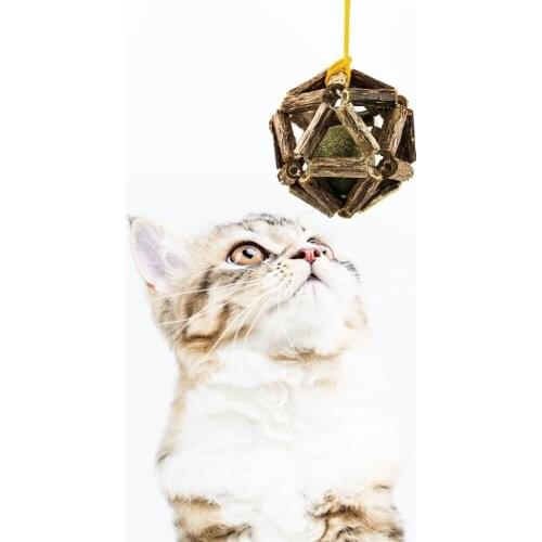 Mutian Polygonum Catnip Funny Cat Toy Exquisite Bells Self-healing Ball Molar Rod Bite-resistant Clean Teeth Cat Train Equipment