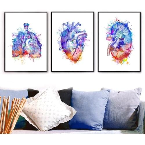 Colorful Anatomy Brain Heart Kidney Breast Wall Art Canvas Painting Nordic Posters And Prints Wall Pictures Doctors Office Decor