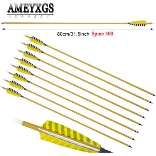 9pcs 31.5" Shooting Pure Carbon Arrow Archery Training Spine 500 Carbon Arrow Turkey Feathers Bow and Arrow Hunting Accessories