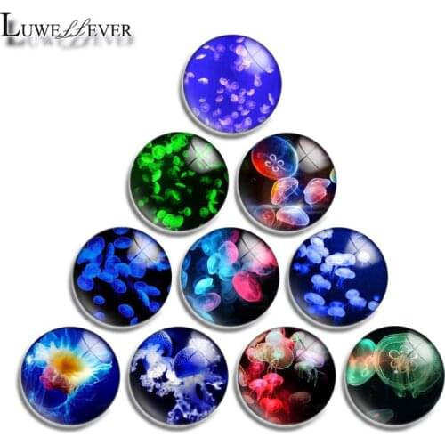 12mm 14mm 16mm 20mm 25mm 30mm 373 Jellyfish Mix Round Glass Cabochon Jewelry Finding 18mm Snap Button Charm Bracelet