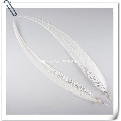 65-70cm silver pheasant feathers for craft dancer decoration plumages