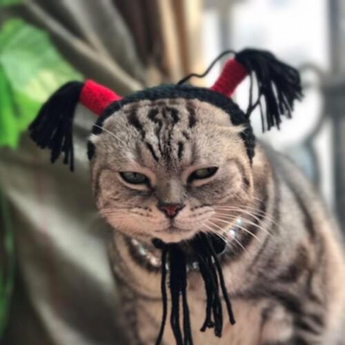 Funny Halloween Pet Cats Dogs Hair Hoop Headband Decor Headpiece Cosplay Prop