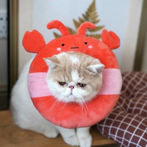 Pet Dog Cat Collar Adjustable E-Collar Wound Healing Soft Prevent Bite Elizabeth Circle Cute Donut Pet Cat Protection Collar