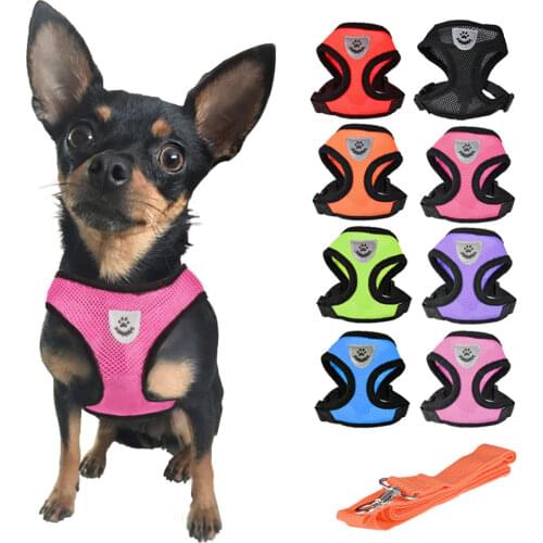 Cat Dog Harnesses Leads Adjustable Pet Harness Vest Walking Lead Leash For Puppy Small Medium Dog Cats Collar Chest Strap Pet