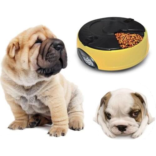 6 Meal Automatic Pet Feeder with Programmable Timer Automatic Pet Dog Cat Feeder Water Tray Bowl Blue