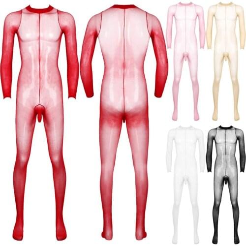 Mens Full Body Stocking One-piece See Through Sheer Long Sleeves Open Penis Sheath Closed Toes Hosiery Body Pantyhose Tights