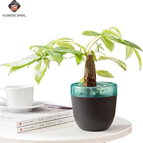2021 Nordic Style Self-Absorbent Flower Pot, Cactus Planting Pot, Living Room, Balcony, Office, Plant Container, Home Decoration