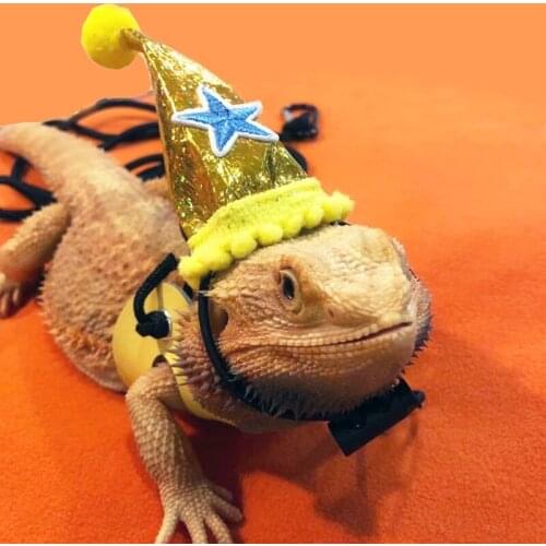 Bearded Dragon Birthday Hat Leash and Harness from Baby to Juvenile Adjustable Leather Lizard Walking Leash S M L 3 Pack